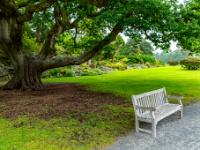 Muckross House